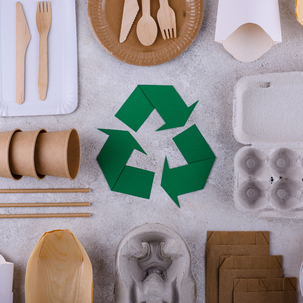 Sustainable Packaging for a Greener Tomorrow: Why It Matters to Us (and You)