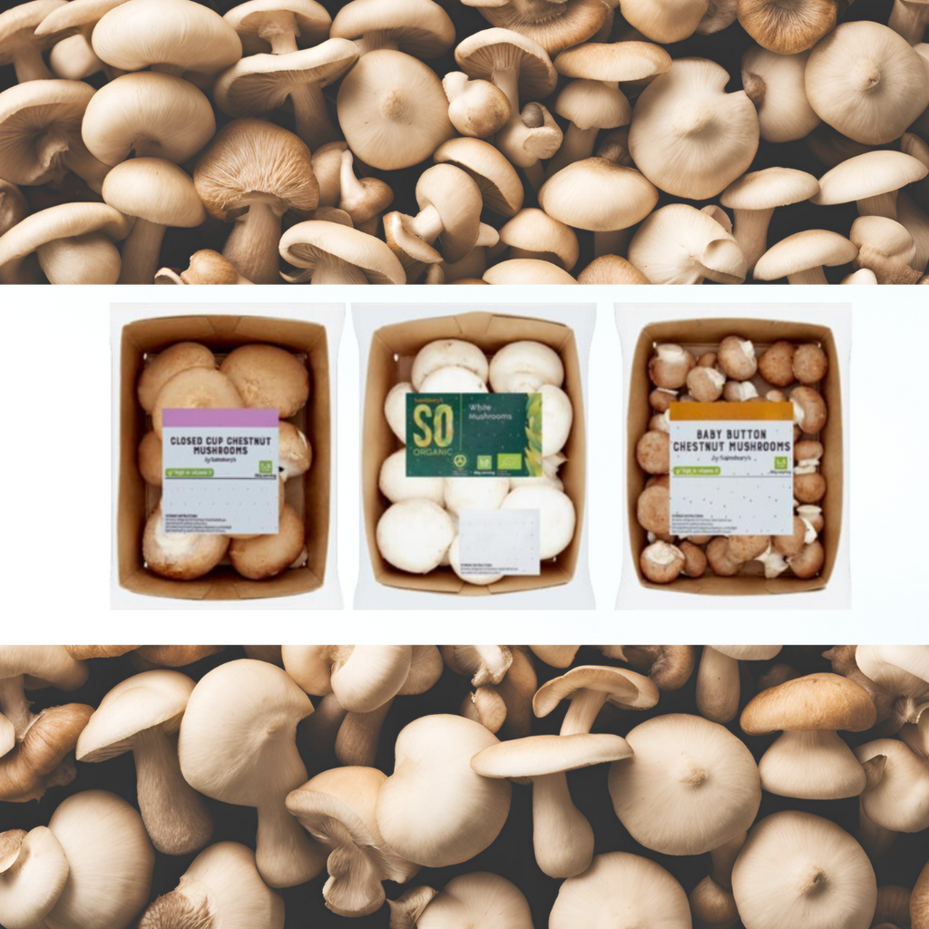 Understanding Mushroom Punnets and PSC Trading Pty's APCO Accreditation